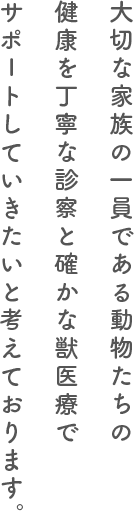 大切な家族の一員である動物たちの 健康を丁寧な診察と確かな獣医療で サポートしていきたいと考えております。